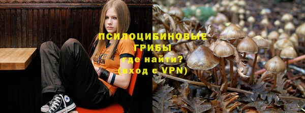 ПСИЛОЦИБИНОВЫЕ ГРИБЫ Баксан