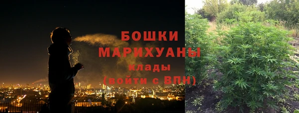 ПСИЛОЦИБИНОВЫЕ ГРИБЫ Баксан