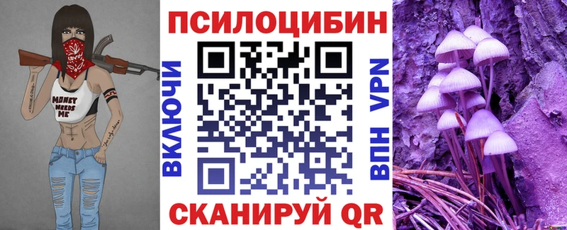 OMG ССЫЛКА  Кудрово  Галлюциногенные грибы прущие грибы 